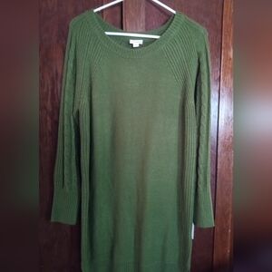 Sweater dress , forest green , long sleeves , NWT